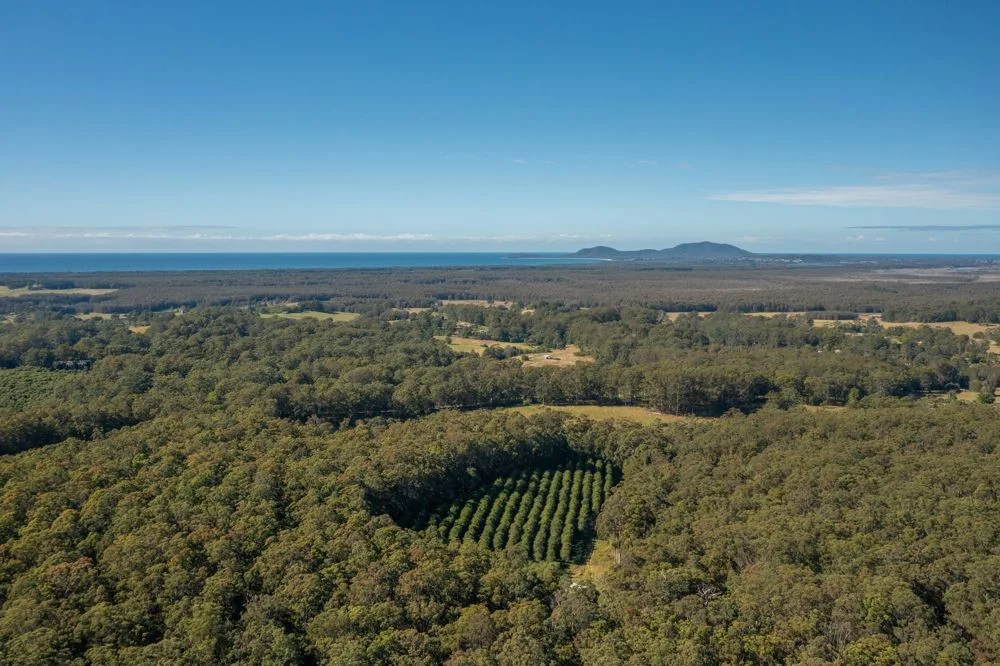 Additional image 21 of 137 Browns Road, Barraganyatti NSW 2441