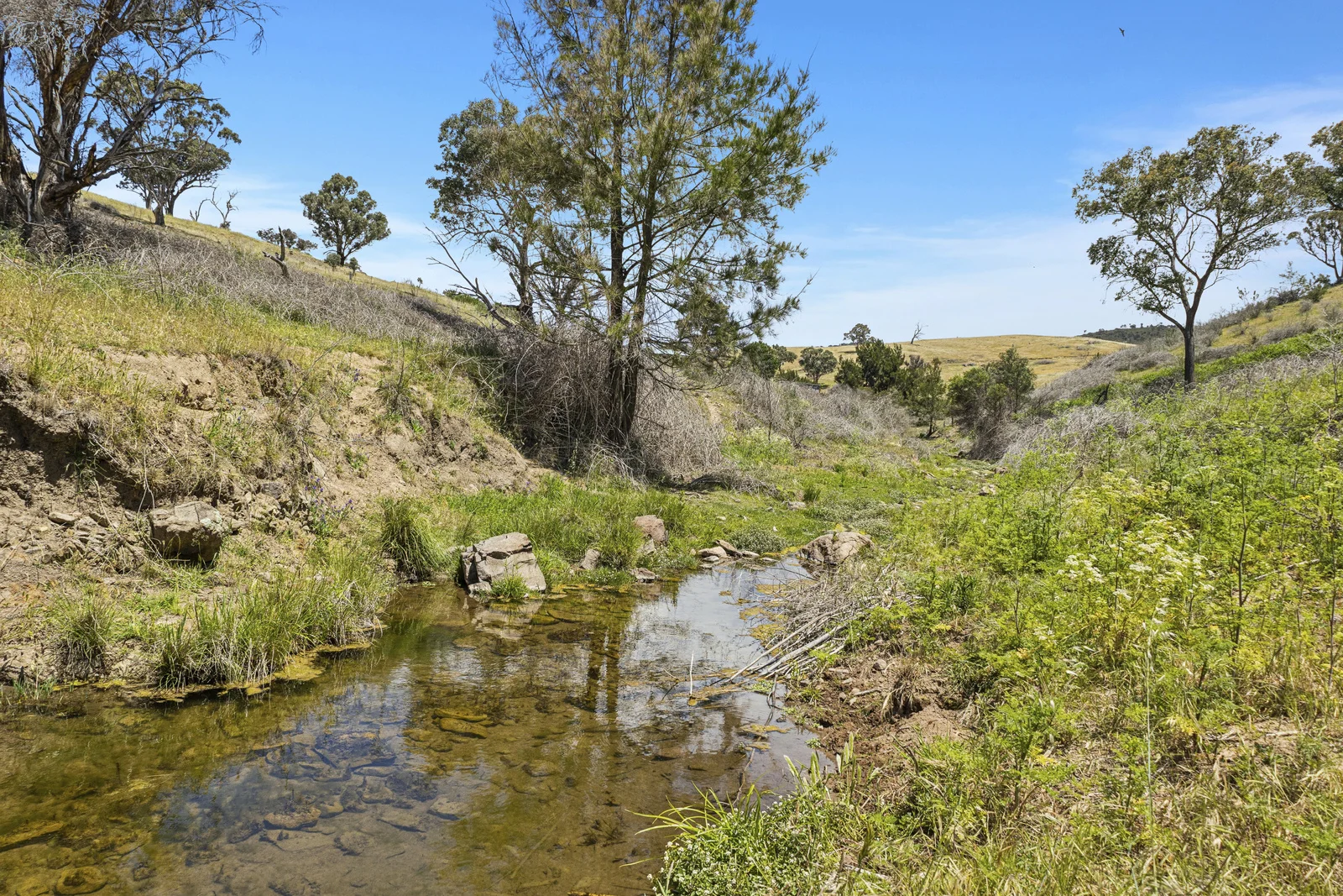 Additional image 5 of Lot 1/414 Horseshoe Rd, Mullion NSW 2582