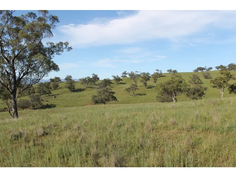 Additional image 3 of Golden Highway, Cassilis NSW 2329