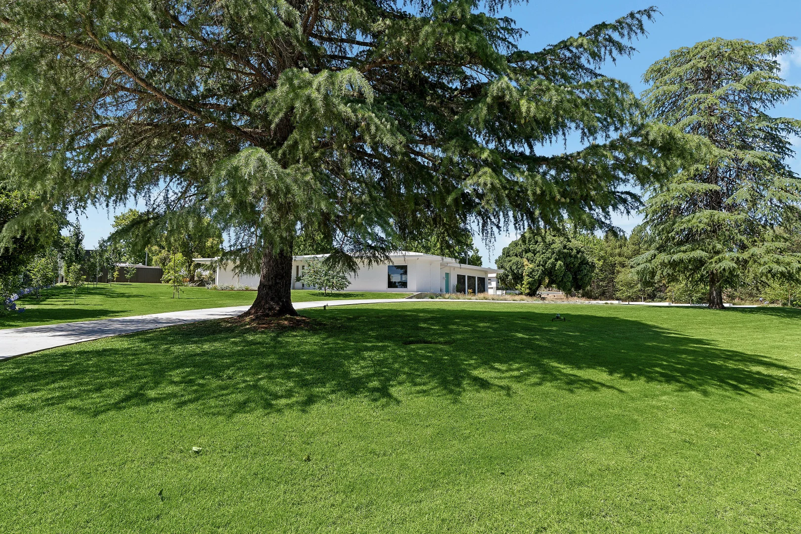 Additional image 36 of 1-3 Flood Street, Narrandera NSW 2700