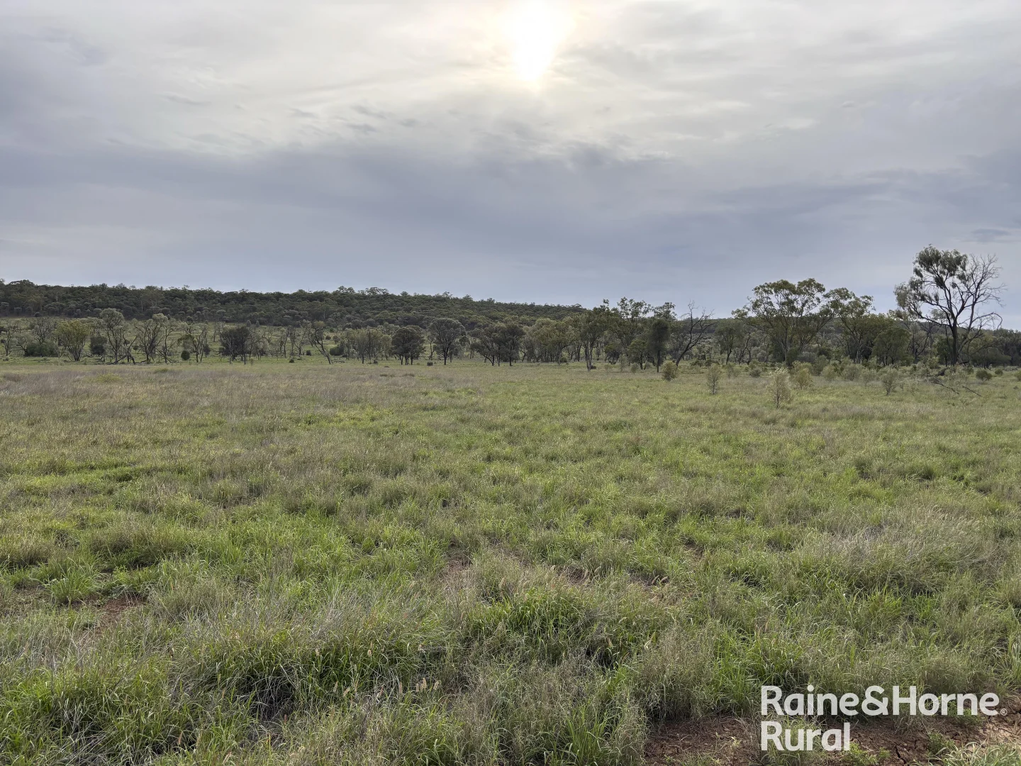 Additional image 9 of 1148 Nalpa Downs Road, Mitchell QLD 4465