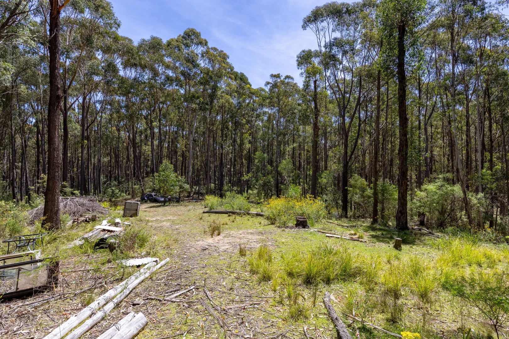 Additional image 14 of 1824 Mount Darragh Road, Wyndham NSW 2550