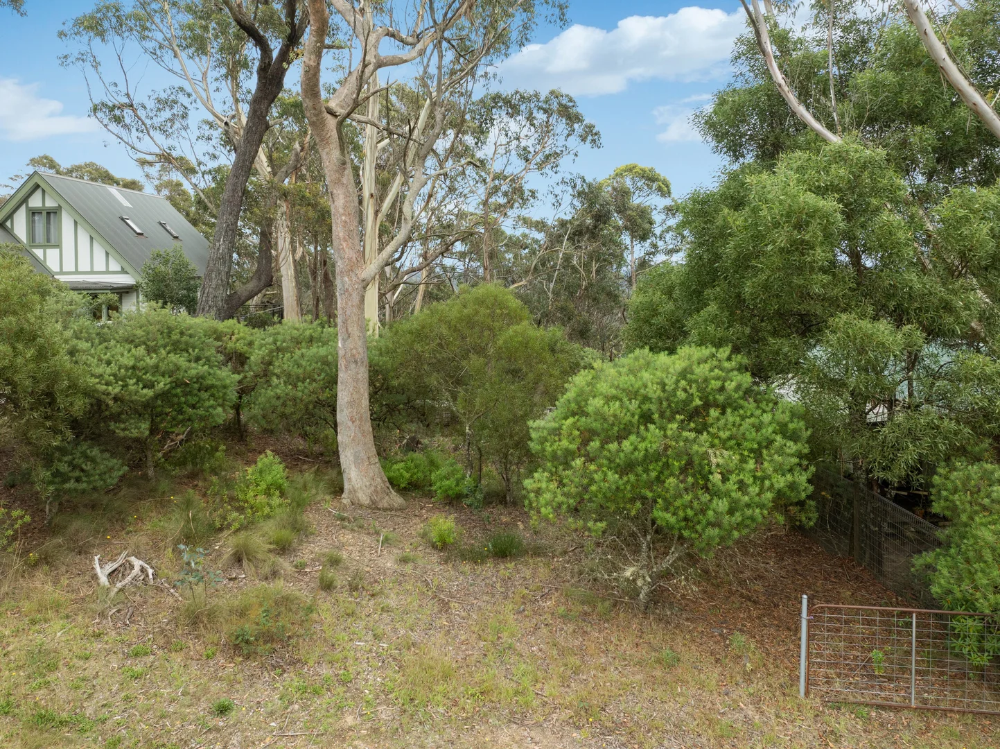 Additional image 2 of 42 Sylvania Street, Mount Victoria NSW 2786