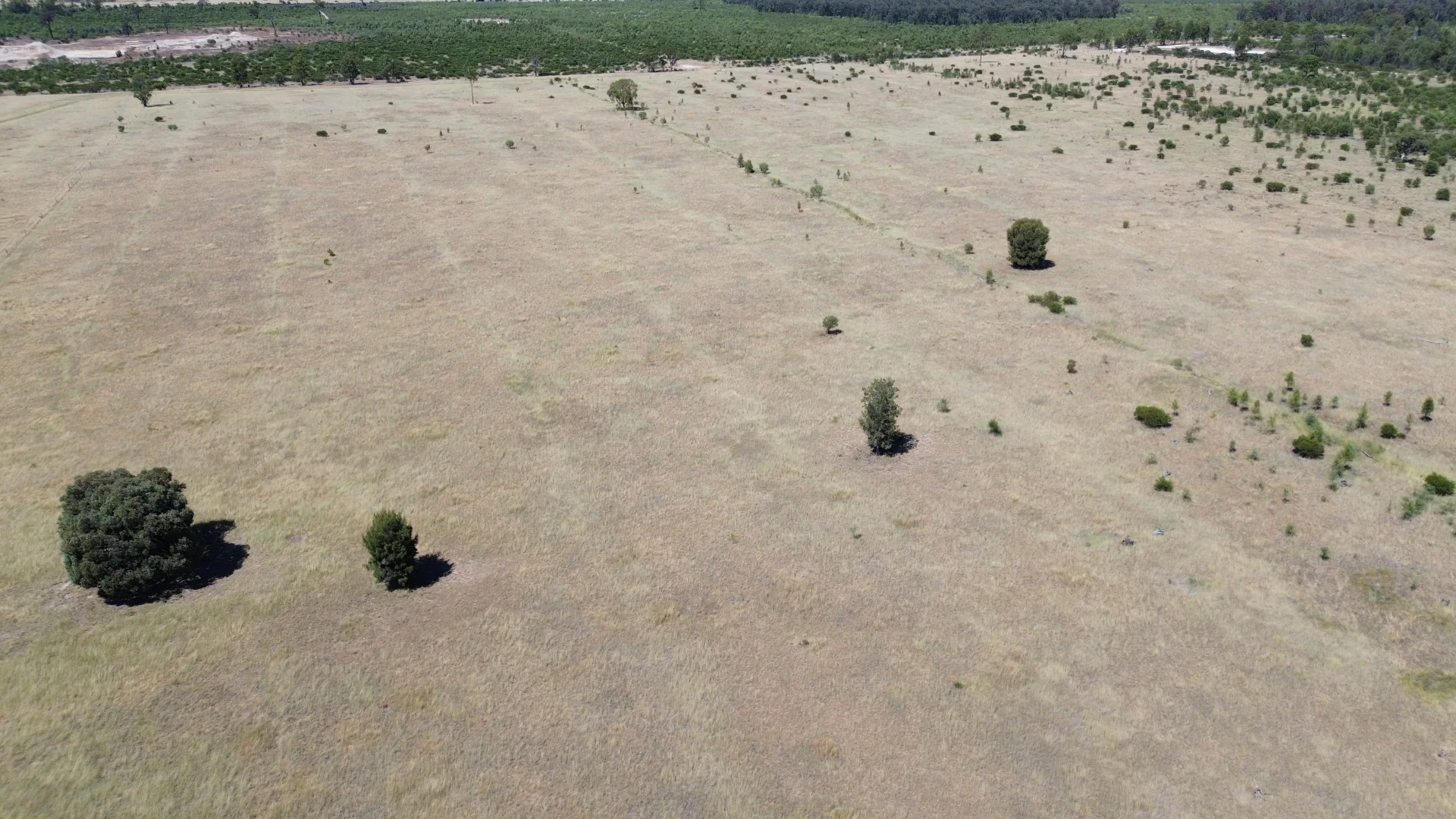 Additional image 17 of Lot 4 Chinchilla-Tara Rd, Wieambilla QLD 4413