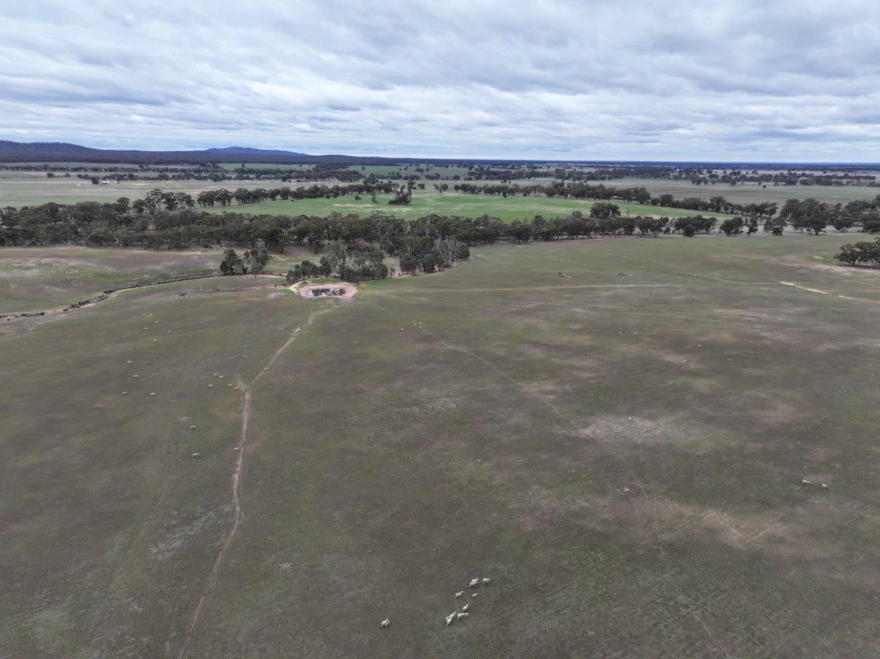 Additional image 15 of Lot 1 Rheola - Llanelly Road, Murphys Creek VIC 3551