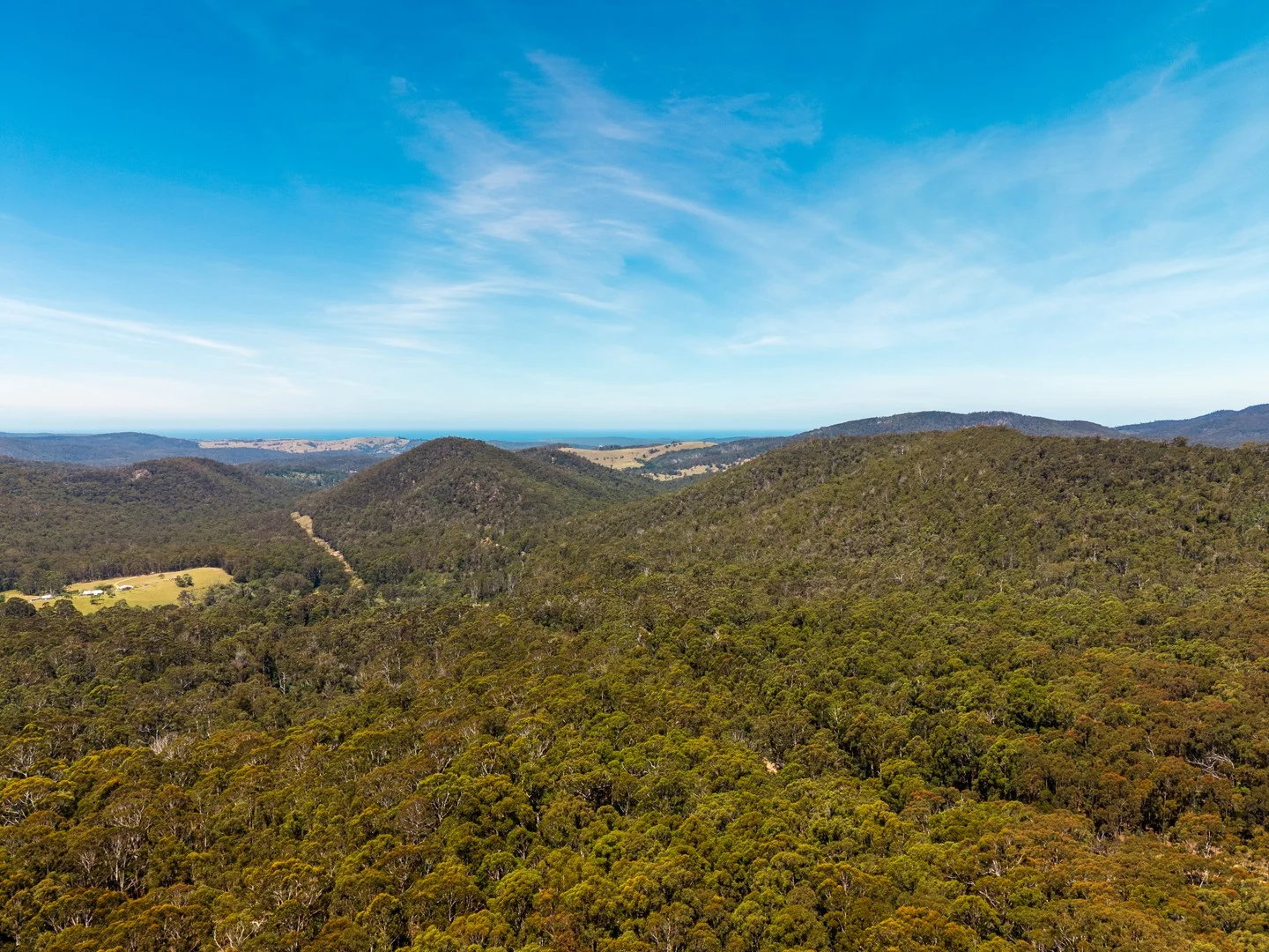 1824 Mount Darragh Road, Wyndham NSW 2550