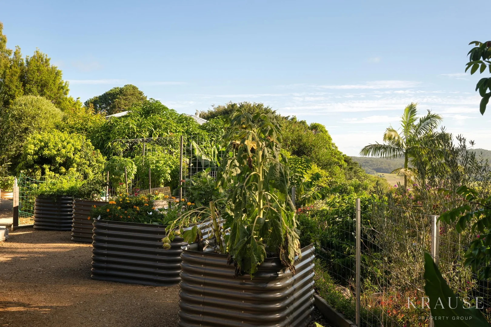 Additional image 20 of 16 Callistemon Court, Maroochy River QLD 4561