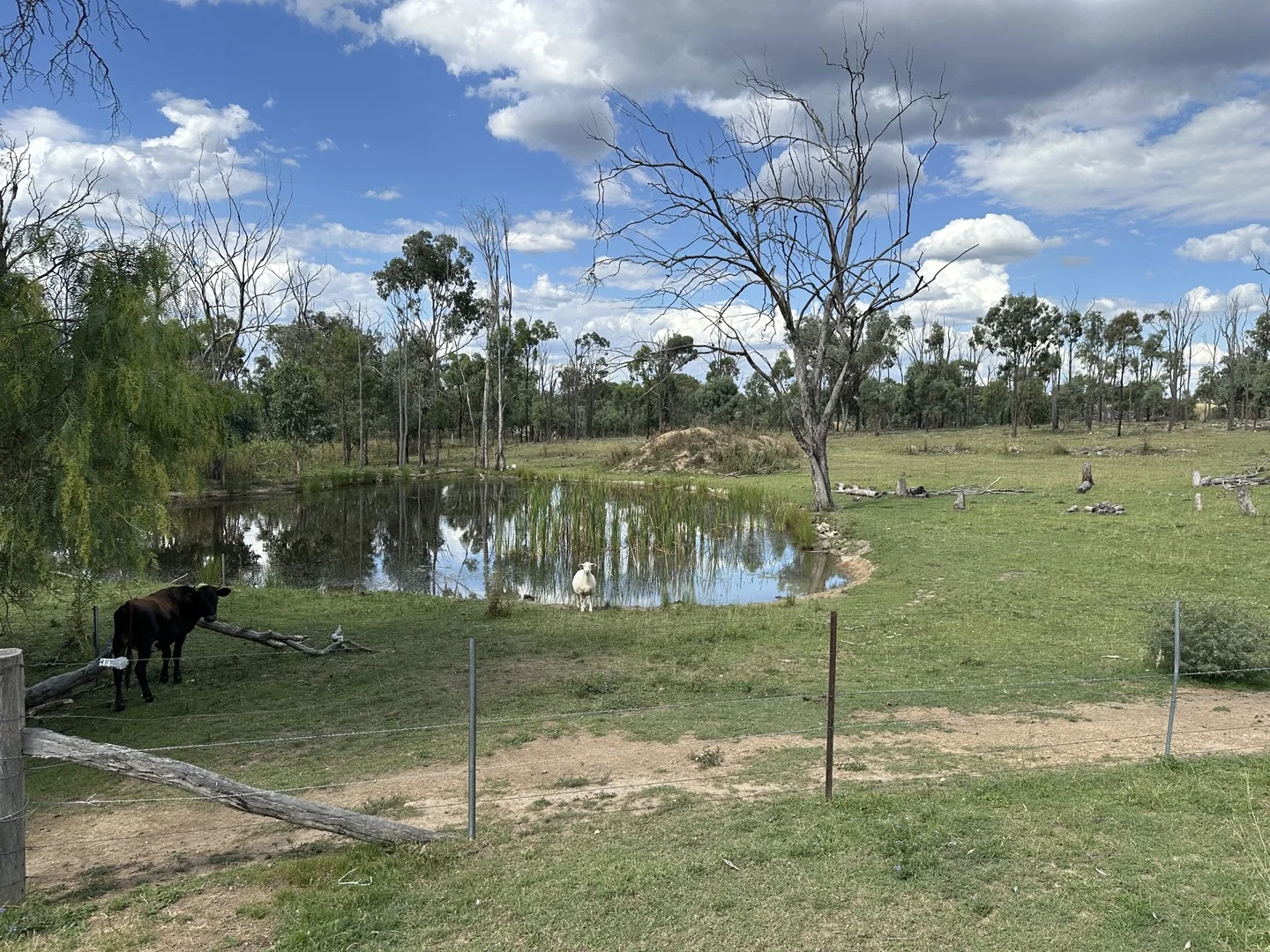 Additional image 2 of 8225 Toowoomba-Karara Road, Karara QLD 4352