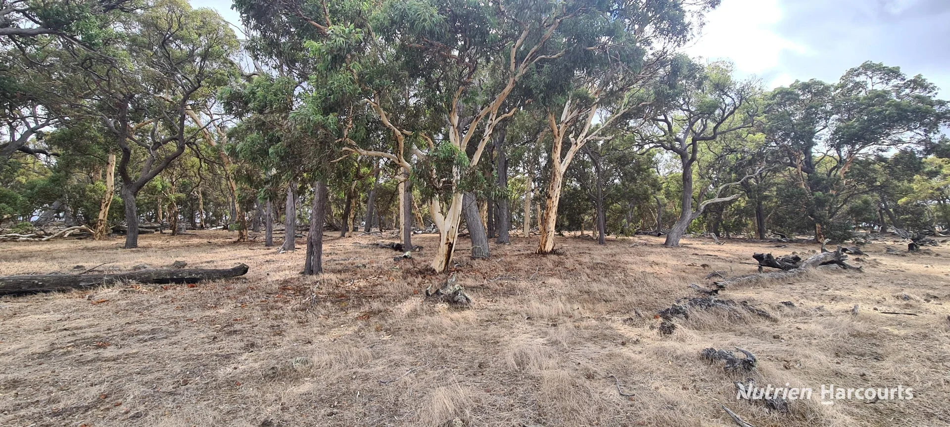 Additional image 6 of Lot 347 Yarralena Road, Cranbrook WA 6321