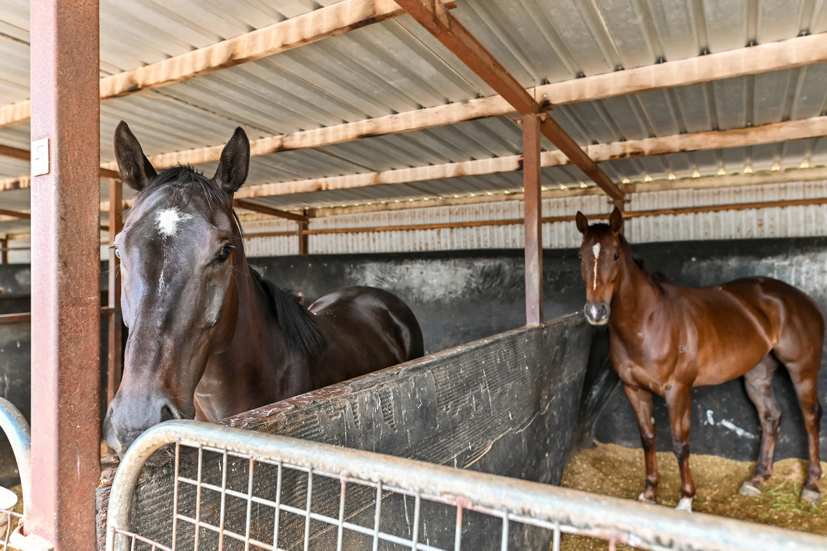 Additional image 11 of 50 Langley Road, Cranbourne South VIC 3977