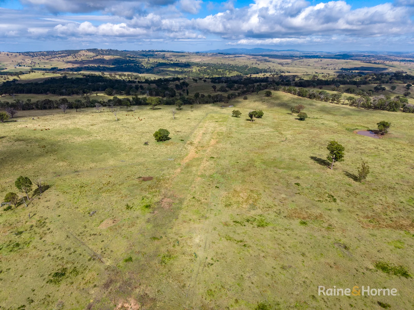 Additional image 9 of 733 Niangala Road, Woolbrook NSW 2354