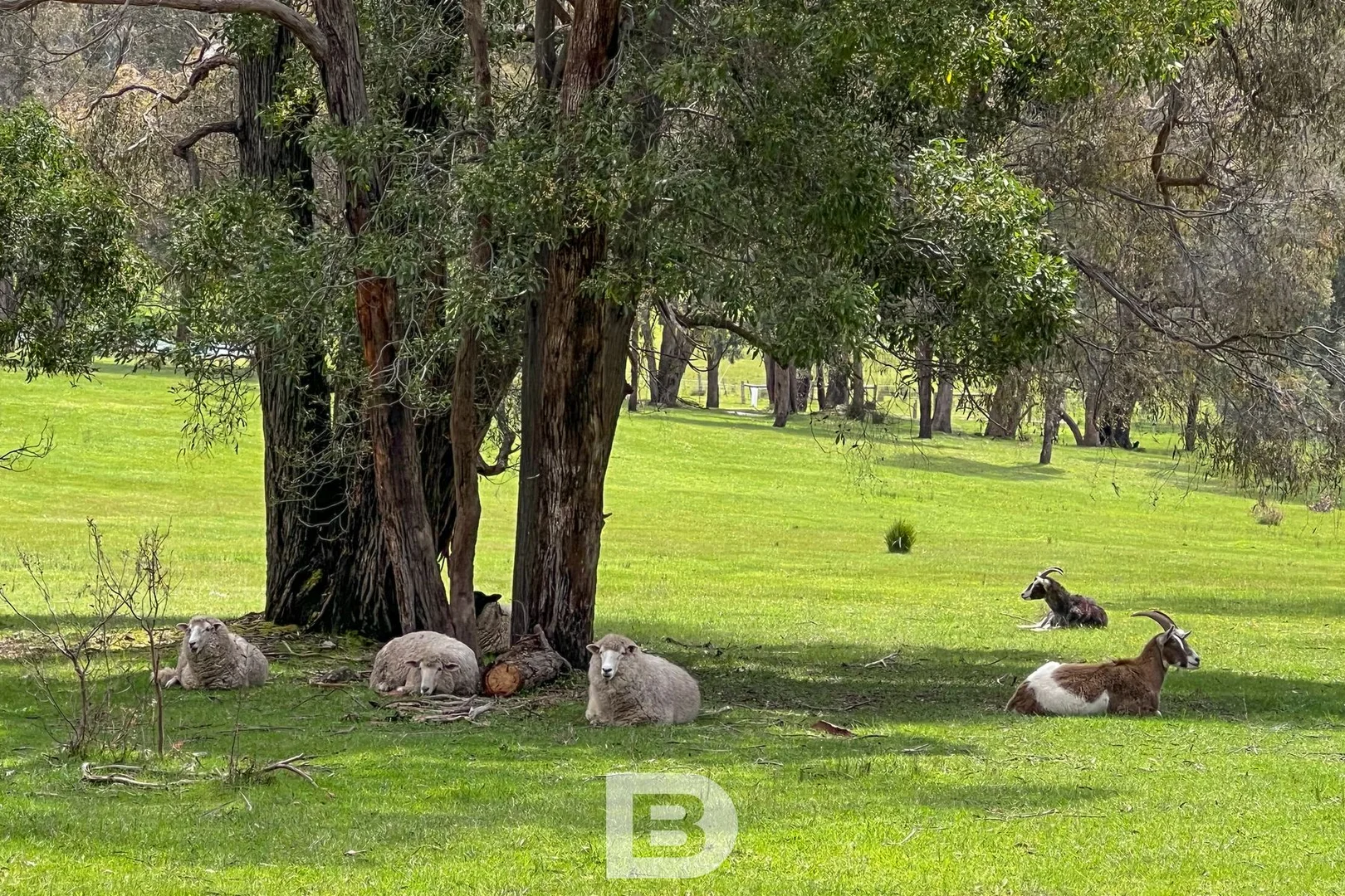 Additional image 16 of 212 Portwines Road, Lauriston VIC 3444