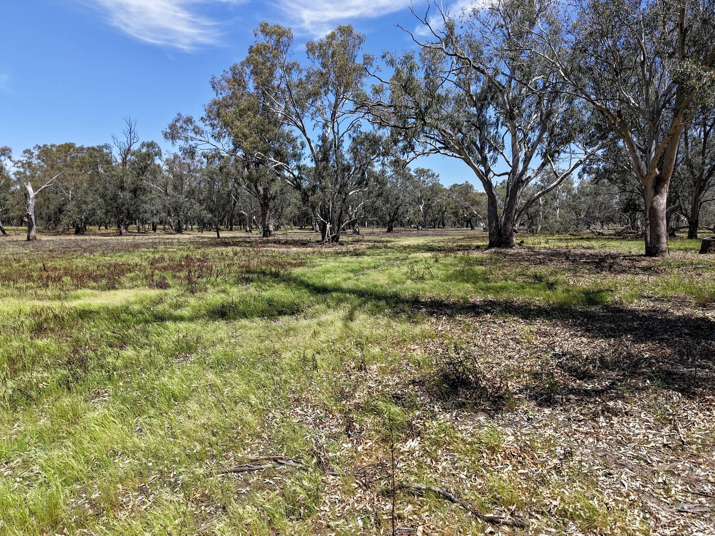 Additional image 4 of 1359 Saddleback Road, Forbes NSW 2871
