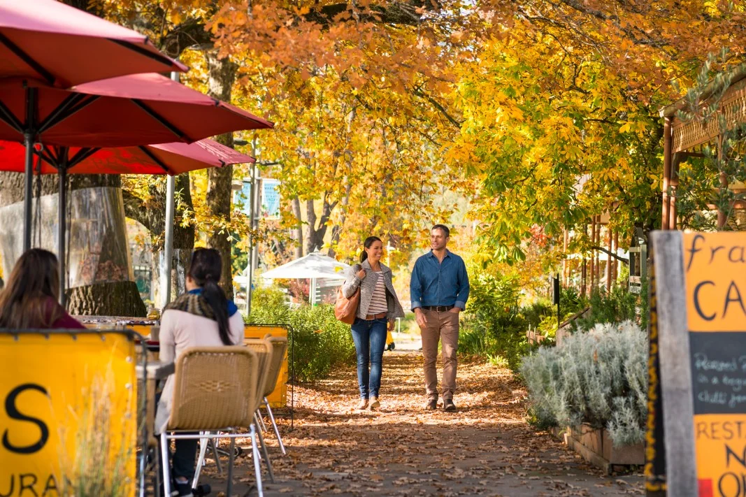 Additional image 2 of 42 Woods Point Road, Marysville VIC 3779