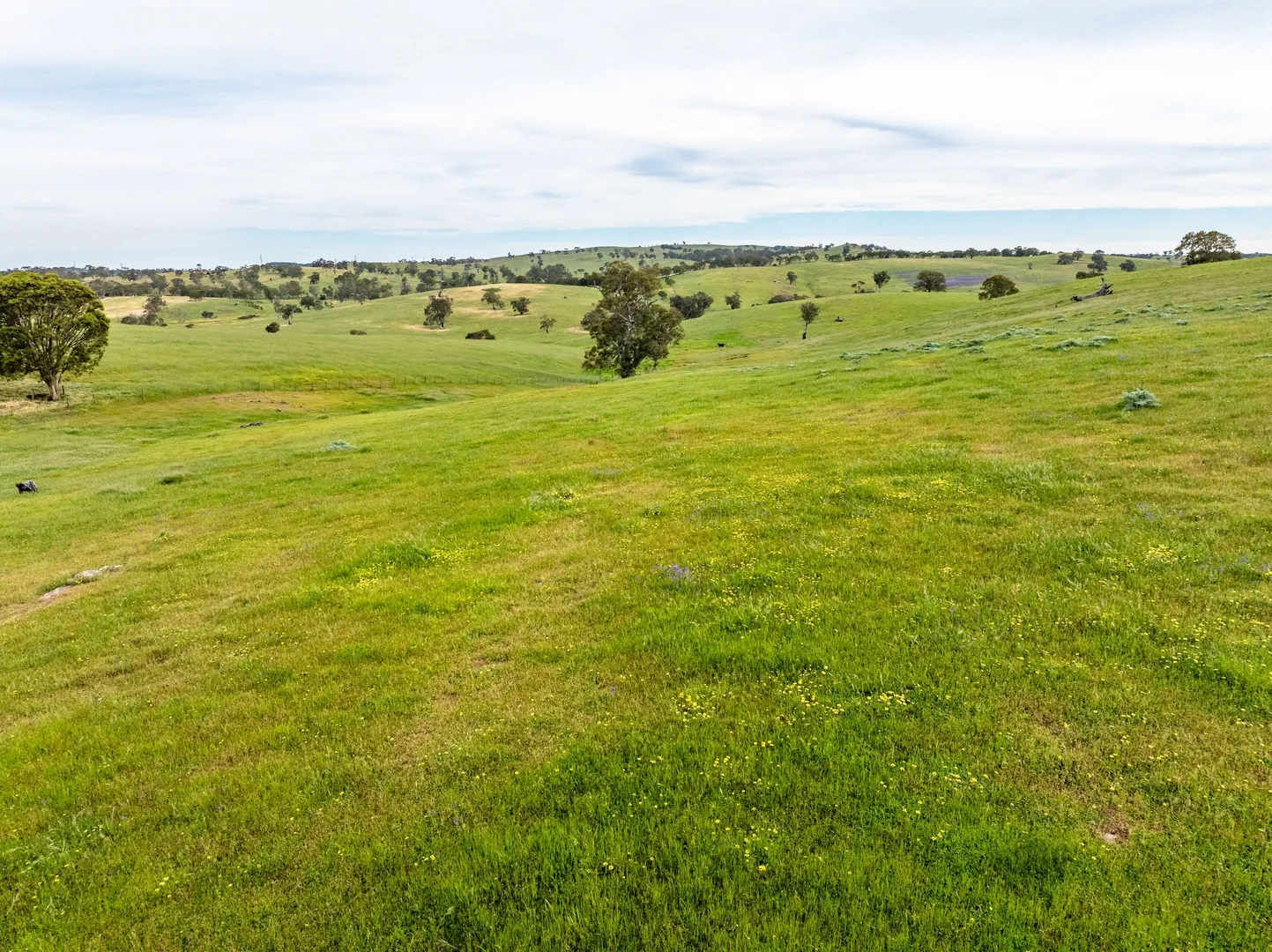 Additional image 11 of 312 Collins Road, Tungkillo SA 5236