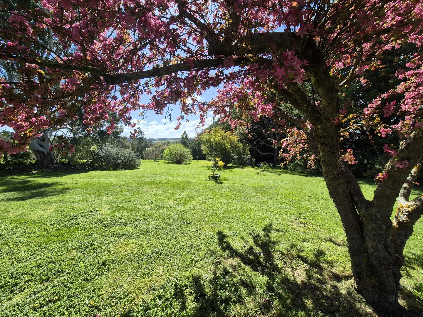 Additional image 8 of 2122 Euroa-Strathbogie Road, Strathbogie VIC 3666