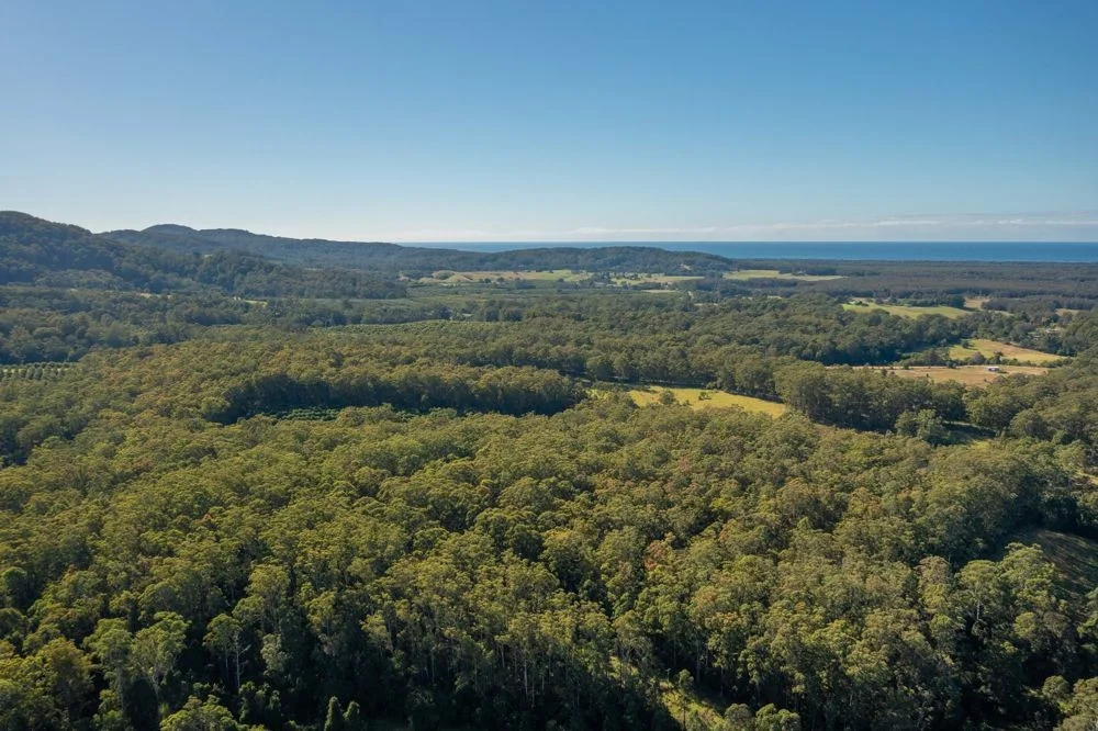 Additional image 20 of 137 Browns Road, Barraganyatti NSW 2441