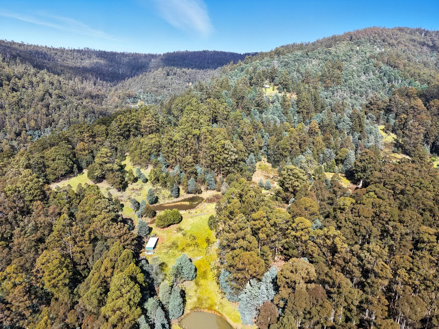 Additional image 10 of Lucaston TAS 7109