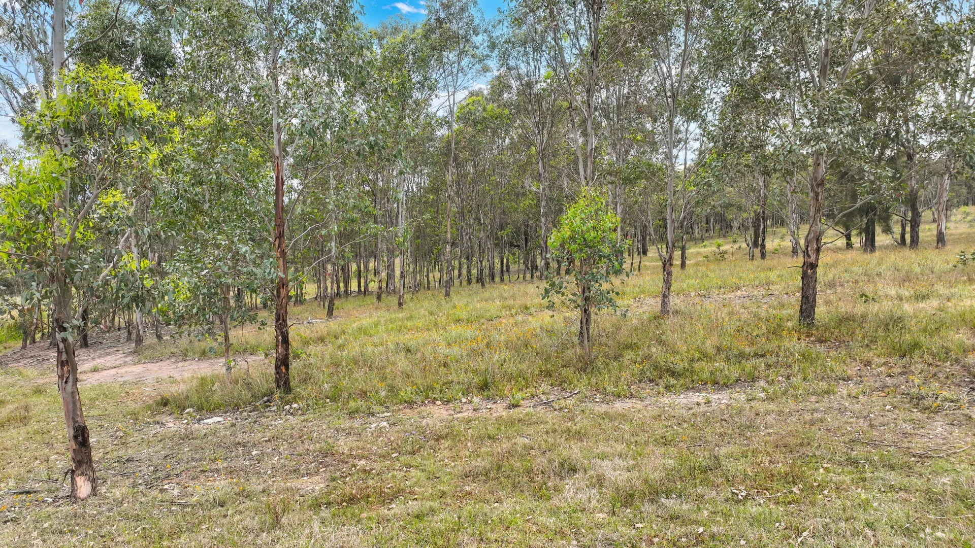 Additional image 24 of 5 Stage Woodland Ridge, Muswellbrook NSW 2333