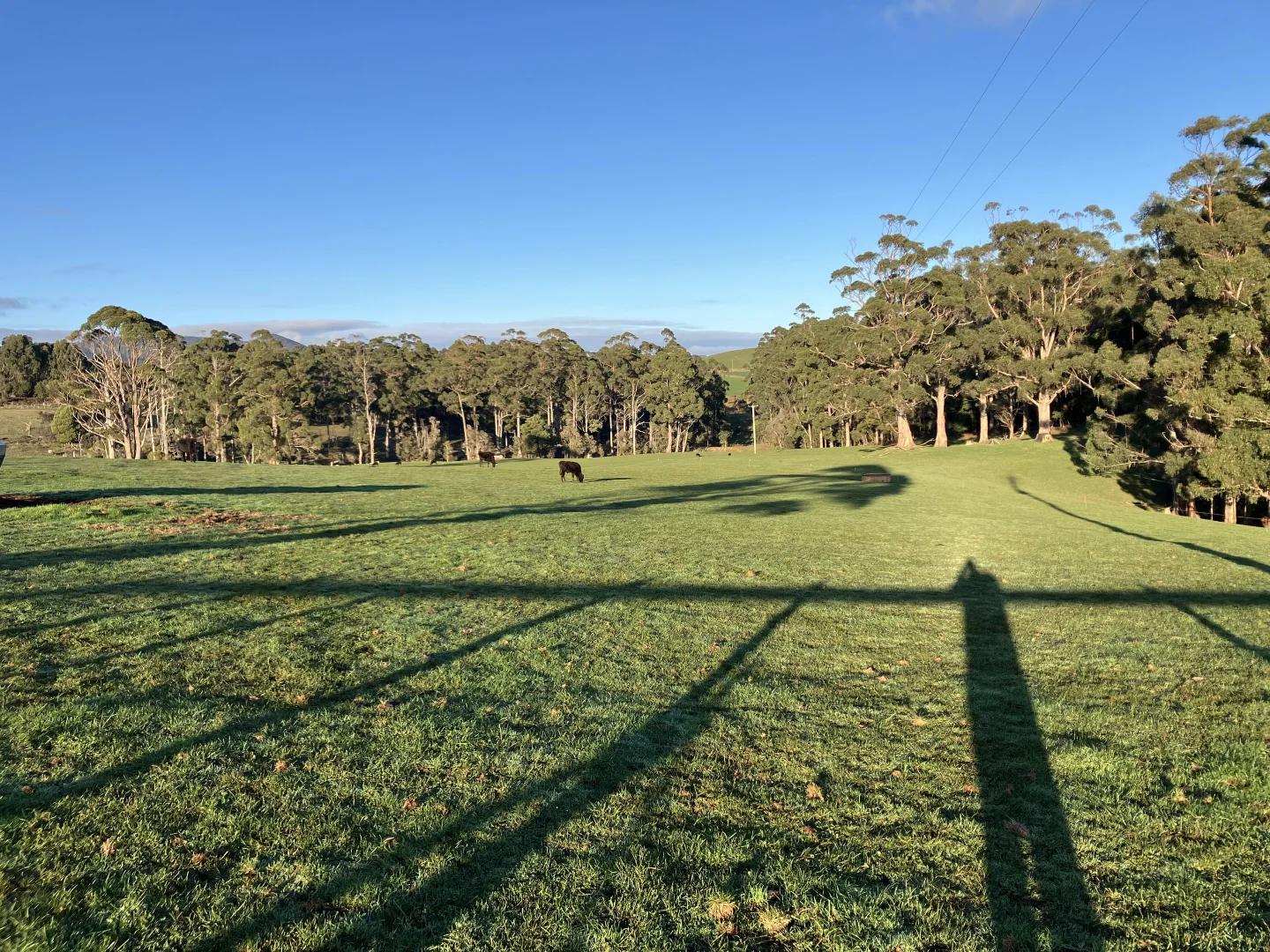 Additional image 18 of 223 Pollards Road, Rocky Cape TAS 7321