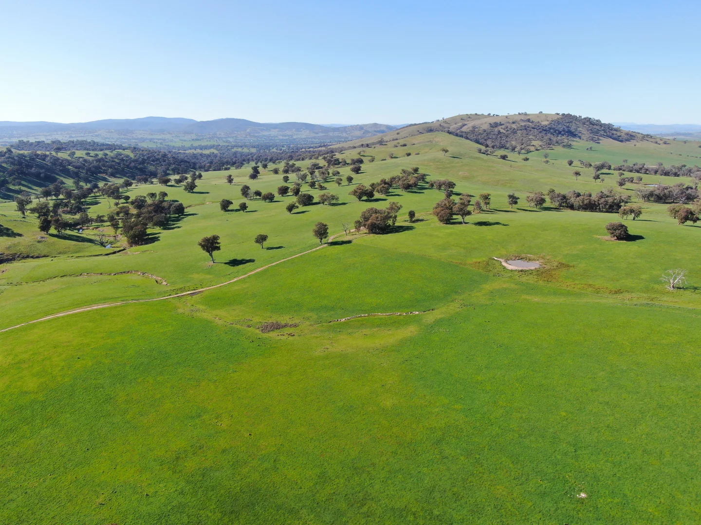 Additional image 13 of Holbrook NSW 2644