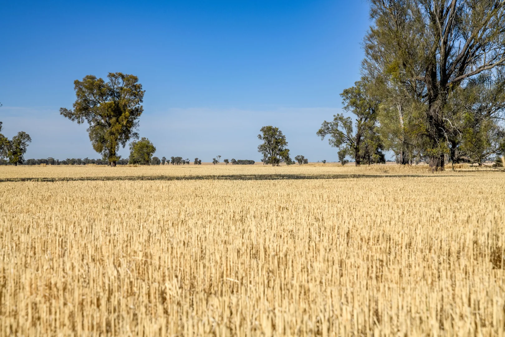 Additional image 7 of CA 37B & CA 38A Natimuk-Hamilton Road, Noradjuha VIC 3409