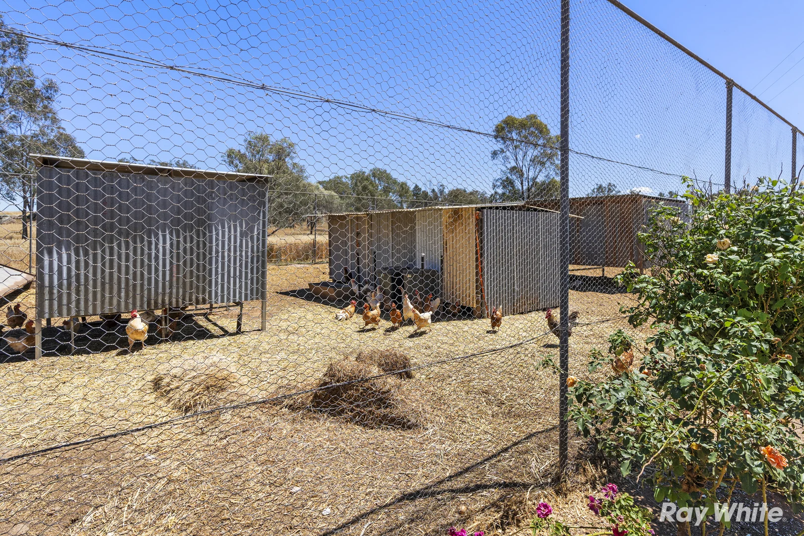 Additional image 24 of 79 Croziers Lane, Ganmain NSW 2702