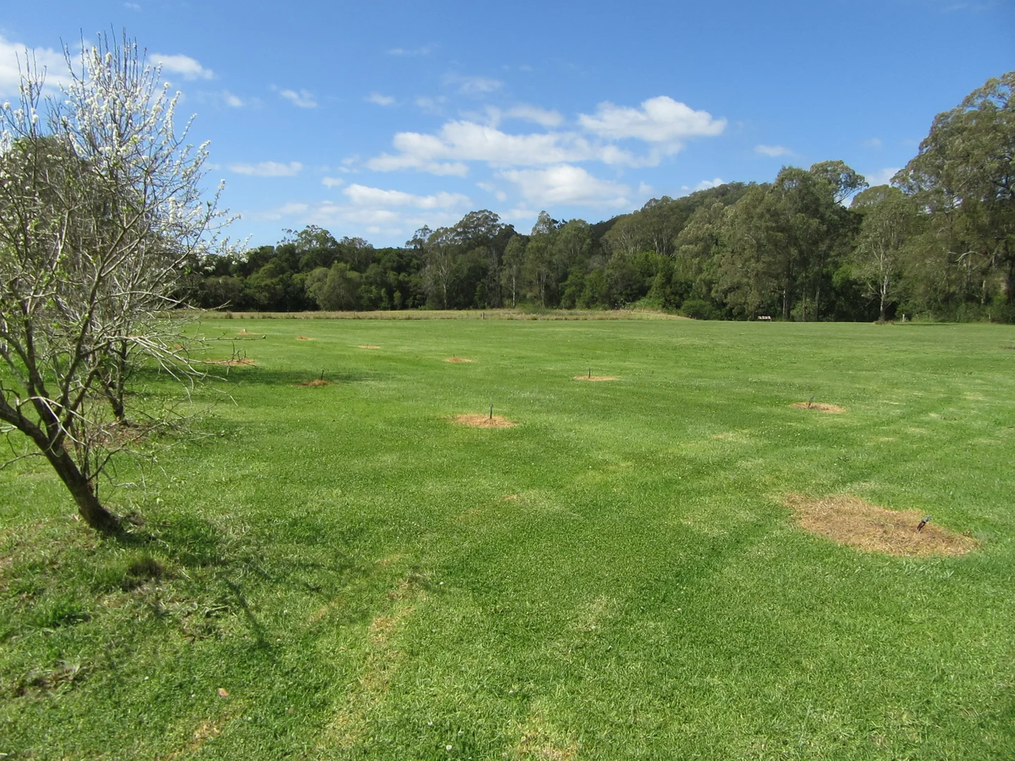 Additional image 47 of 10 Markwell Back Road, Bulahdelah NSW 2423