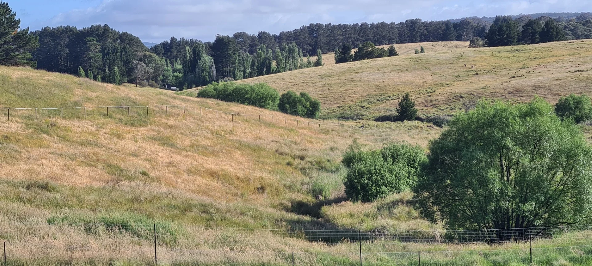 Additional image 10 of 83 Shinglehouse Road, Bywong NSW 2621