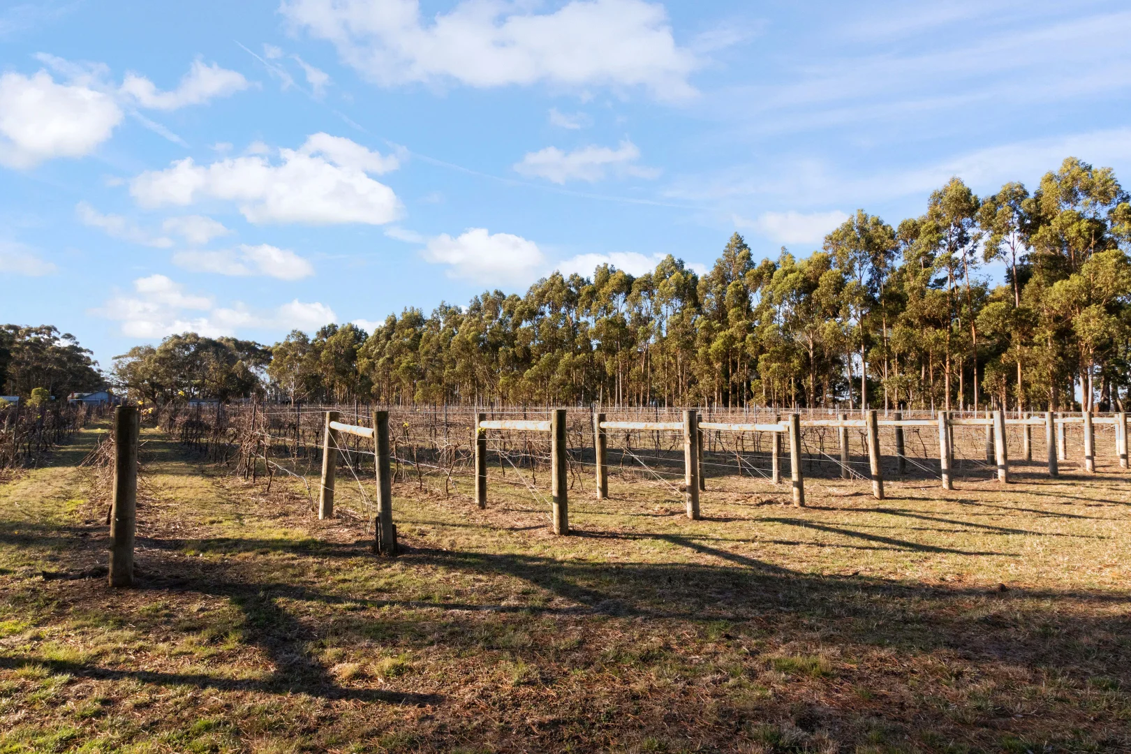 Additional image 43 of 136 Darlington-Carranballac Road, Darlington VIC 3271