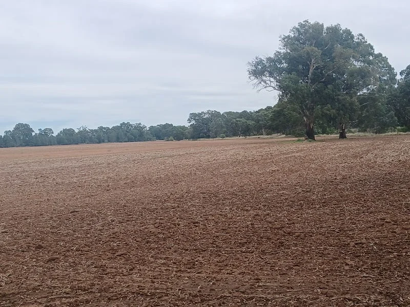 Additional image 16 of Tooraweenah NSW 2817