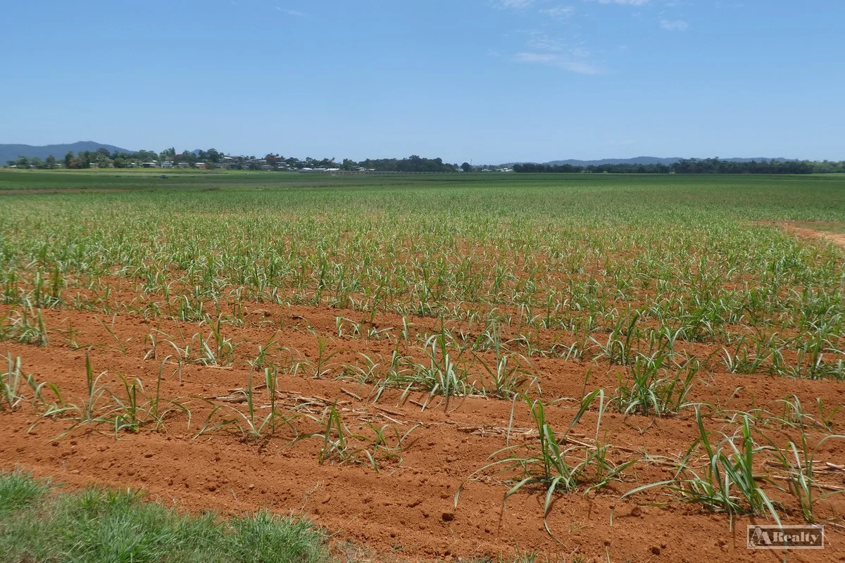 Additional image 6 of Belvedere QLD 4860