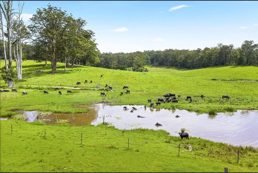 Additional image 11 of 50 Elliots Rd, Tamban NSW 2441