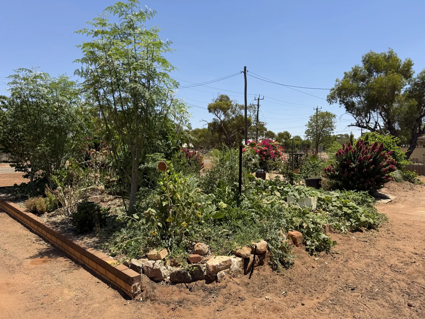 Additional image 13 of 65 Milloy Street, Morawa WA 6623