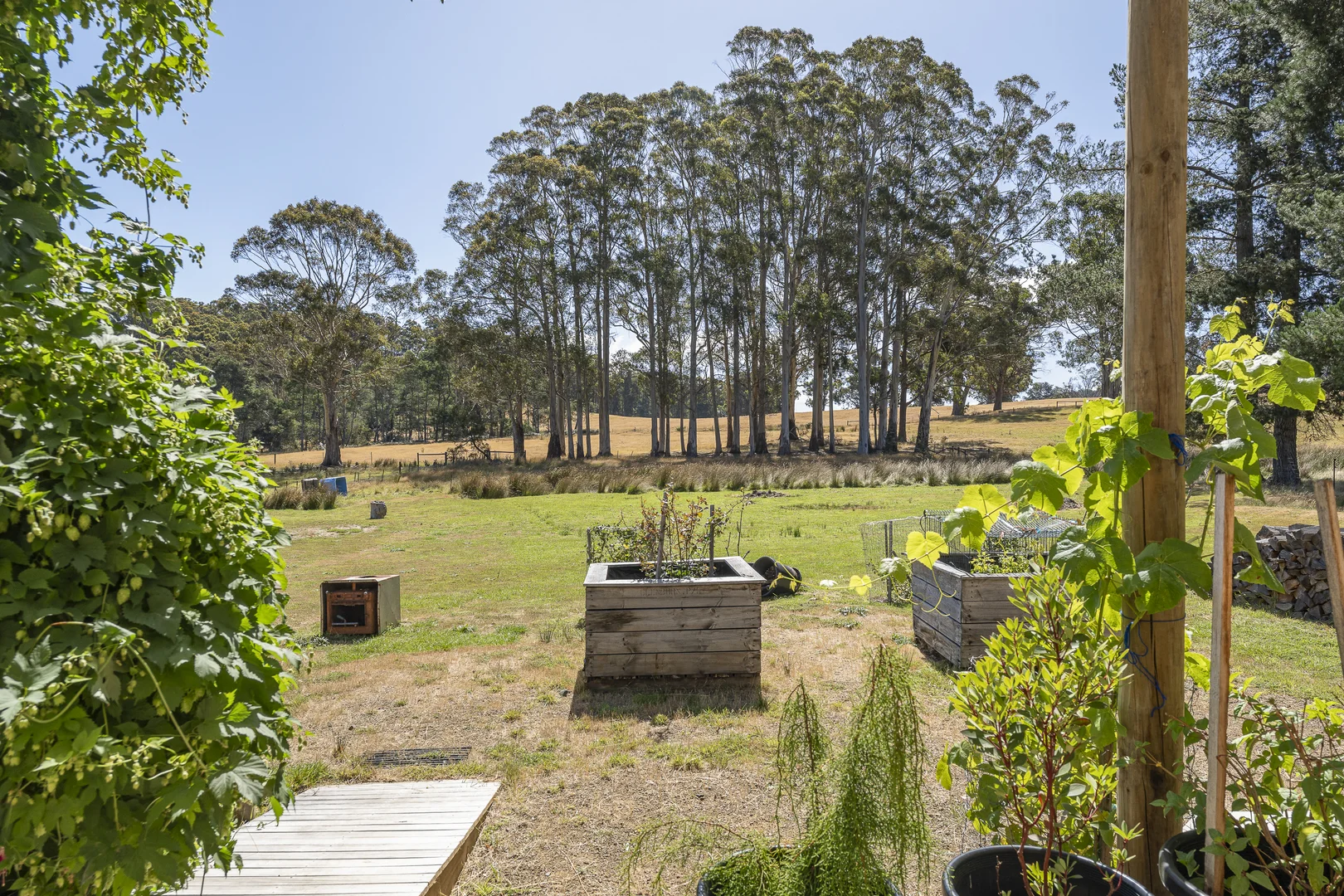 Additional image 13 of 42 Hermons Road, Geeveston TAS 7116
