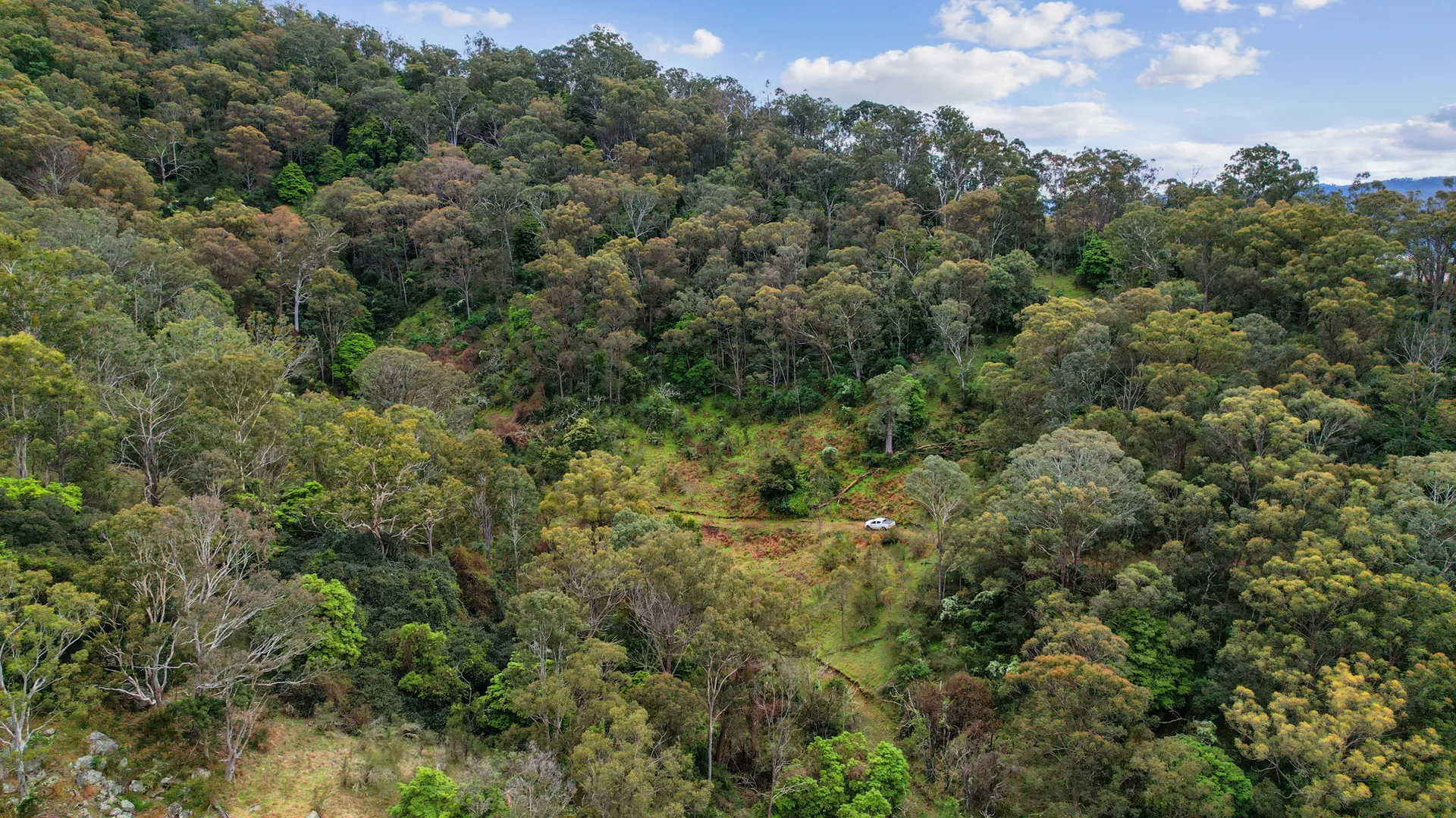 Additional image 33 of 322 Neringla Road, Braidwood NSW 2622