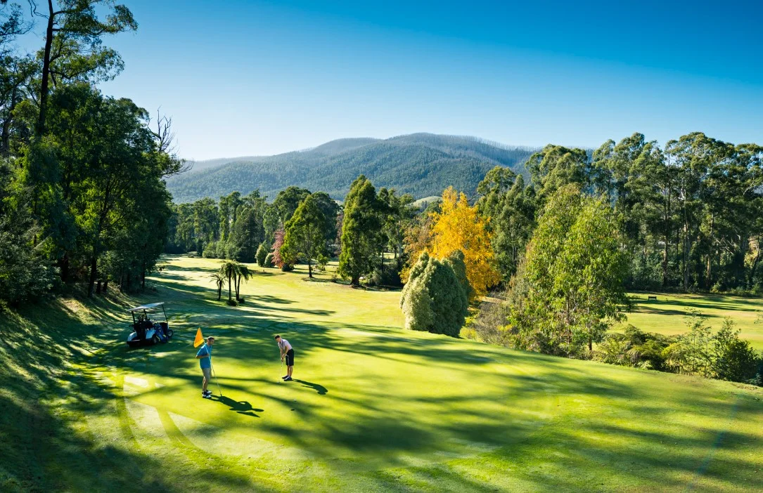 Additional image 4 of 42 Woods Point Road, Marysville VIC 3779