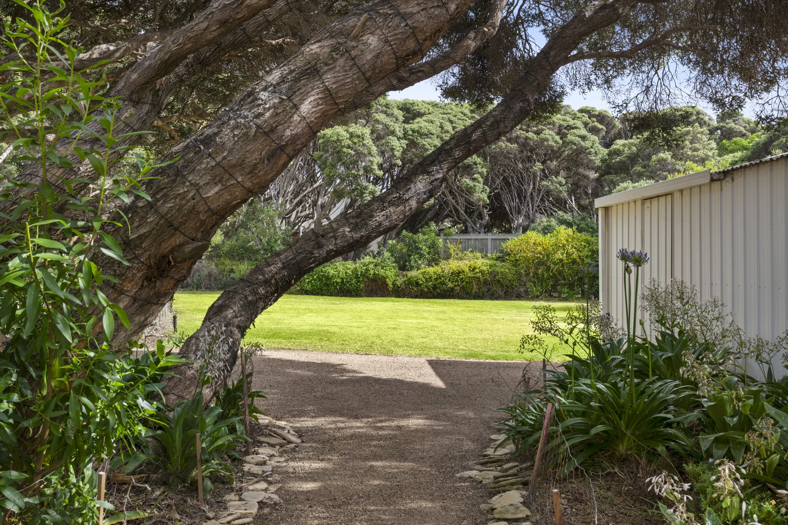 Additional image 5 of 124 Melba Parade, Anglesea VIC 3230