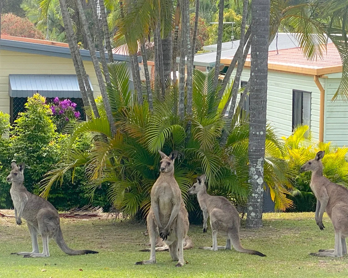 Additional image 19 of 16B/570 Pine Ridge Road, Coombabah QLD 4216