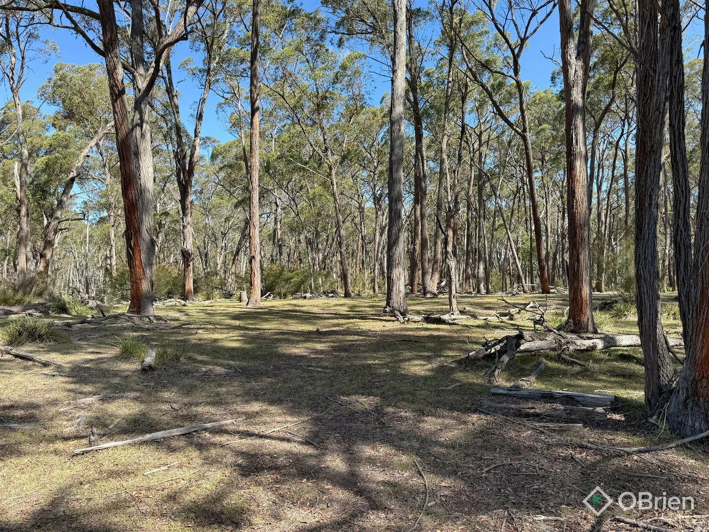 Additional image 16 of Sinclairs Road, Munro VIC 3862