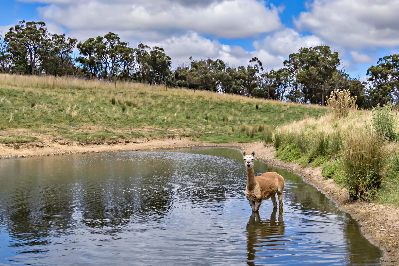 Additional image 14 of 1777 Canyonleigh Road, Canyonleigh NSW 2577