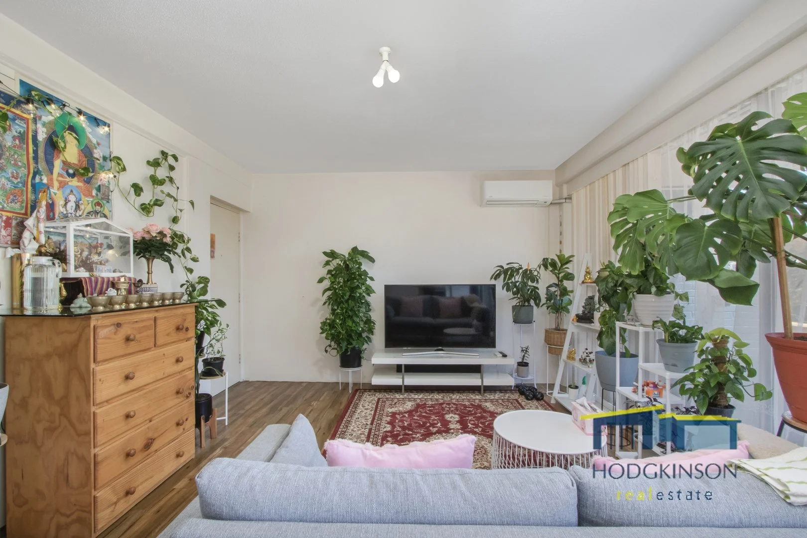 Additional image 3 of 5/6 Wilkins Street, Mawson ACT 2607