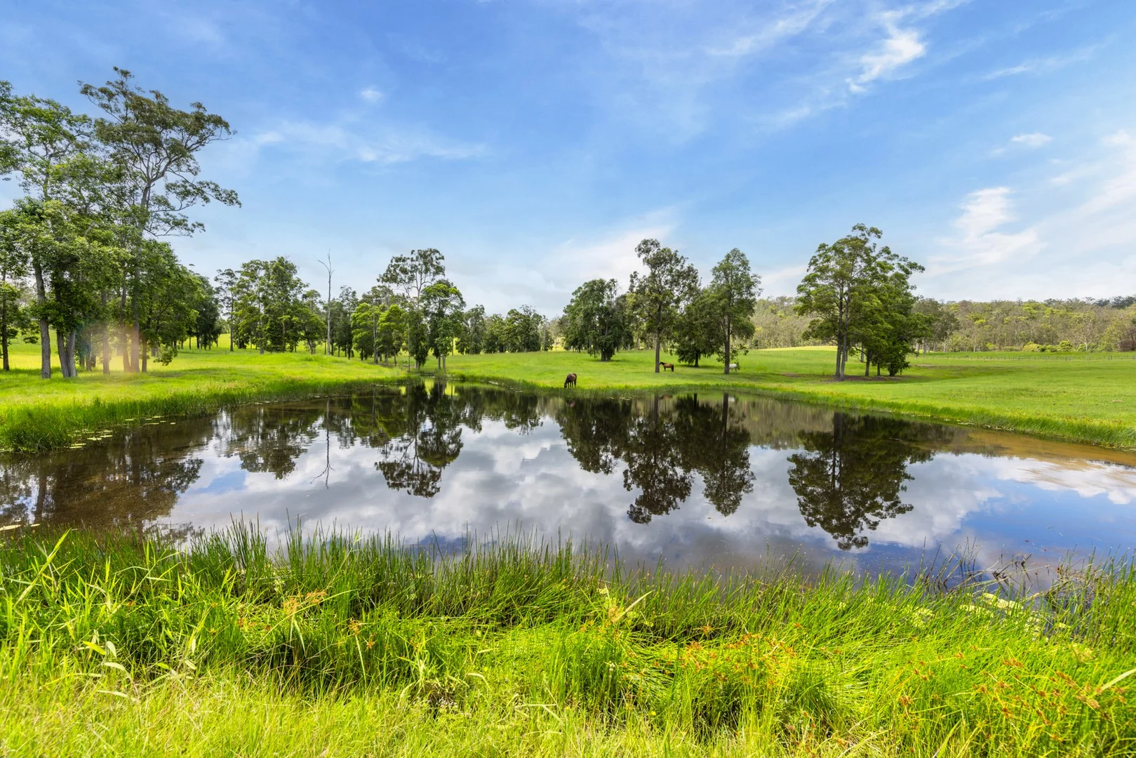 Additional image 3 of 240 Keefton Road, Woondum QLD 4570