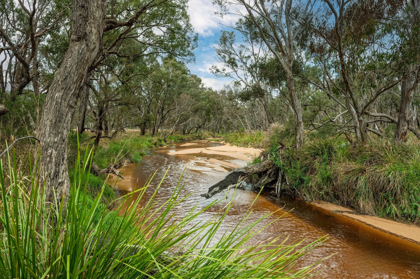 Additional image 16 of 97 Springwood Park Road, Mudgee NSW 2850