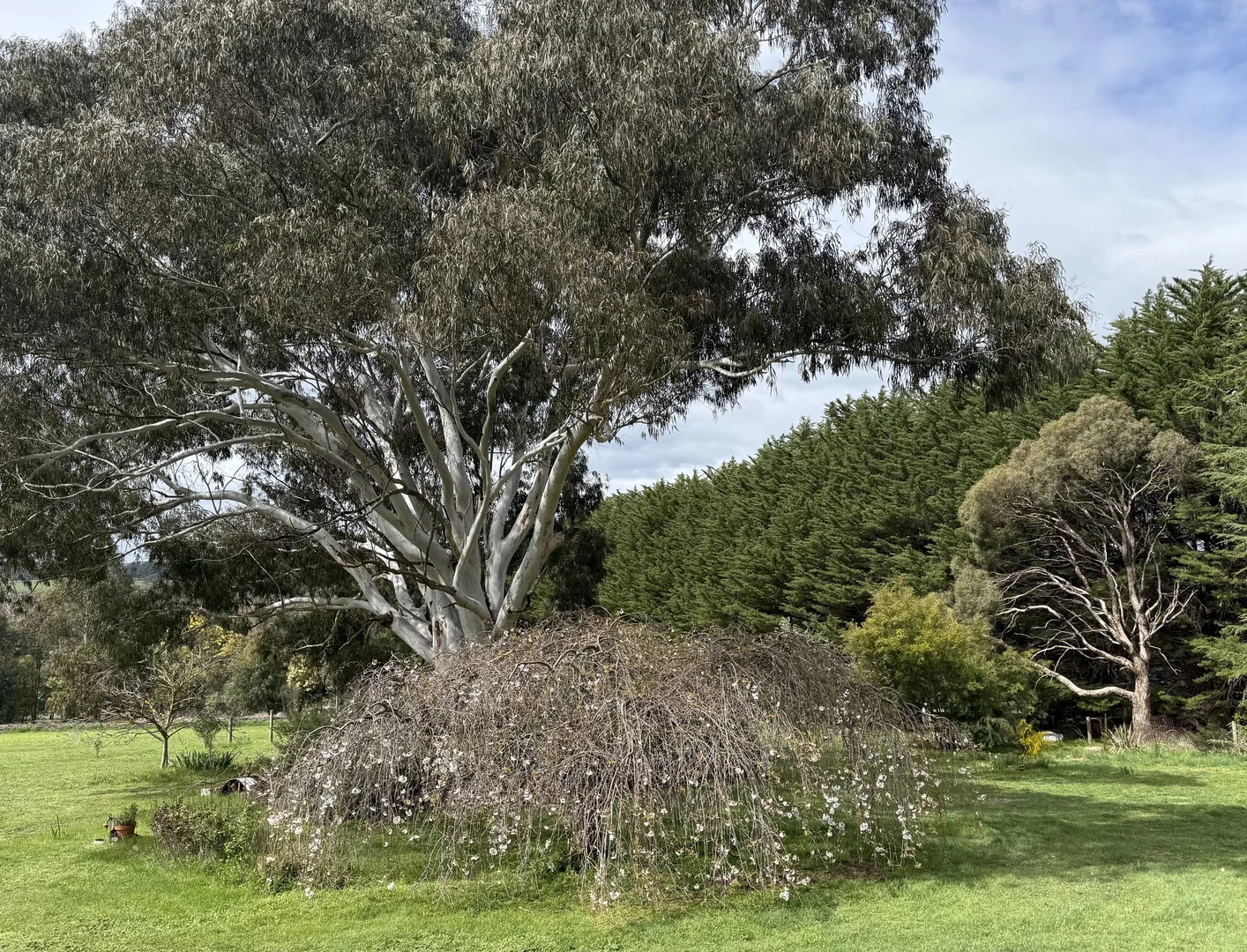 Additional image 7 of 2122 Euroa-Strathbogie Road, Strathbogie VIC 3666