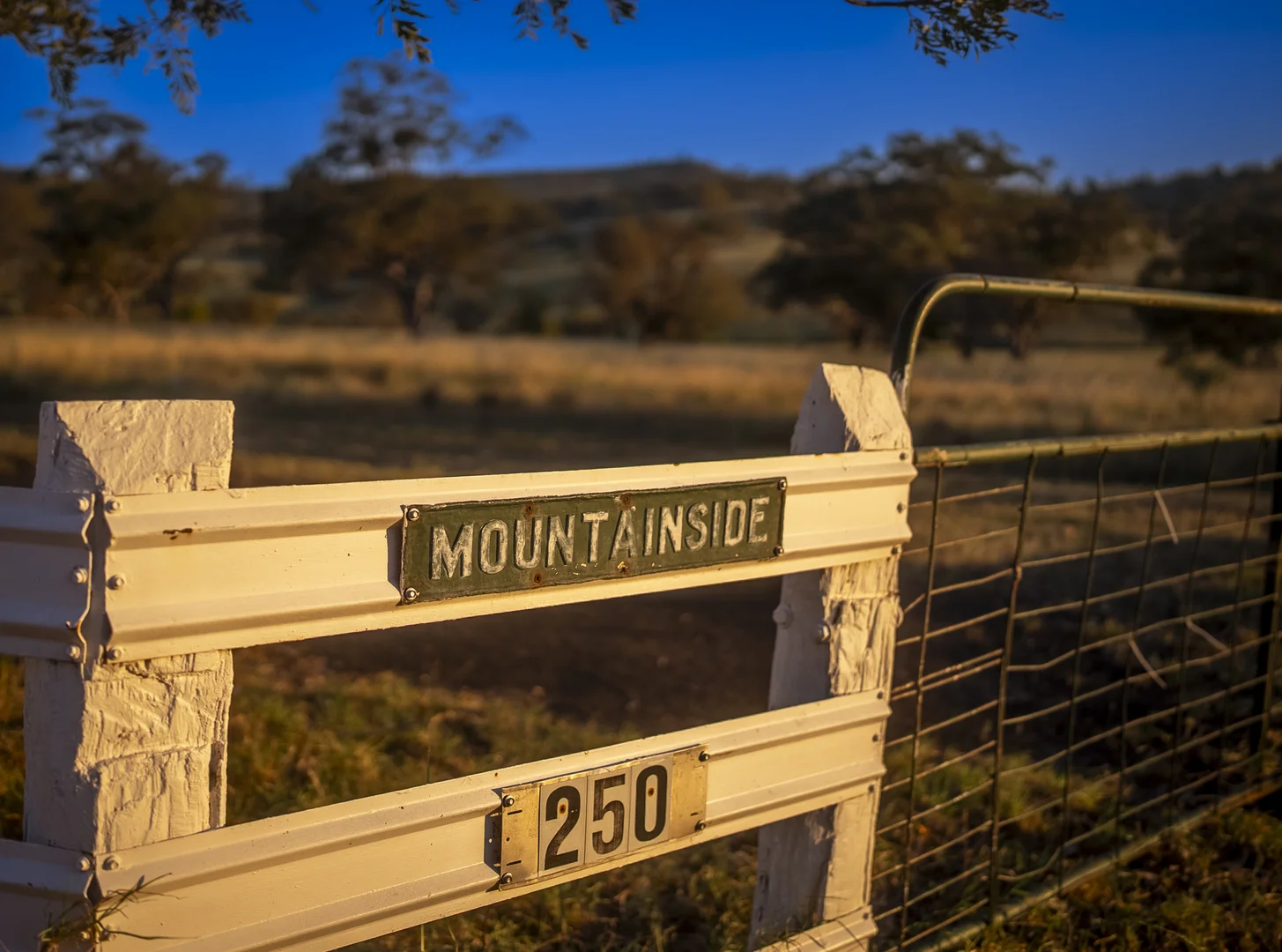Additional image 19 of 'Mountainside' 250 Mountain Side Road, Coolah NSW 2843
