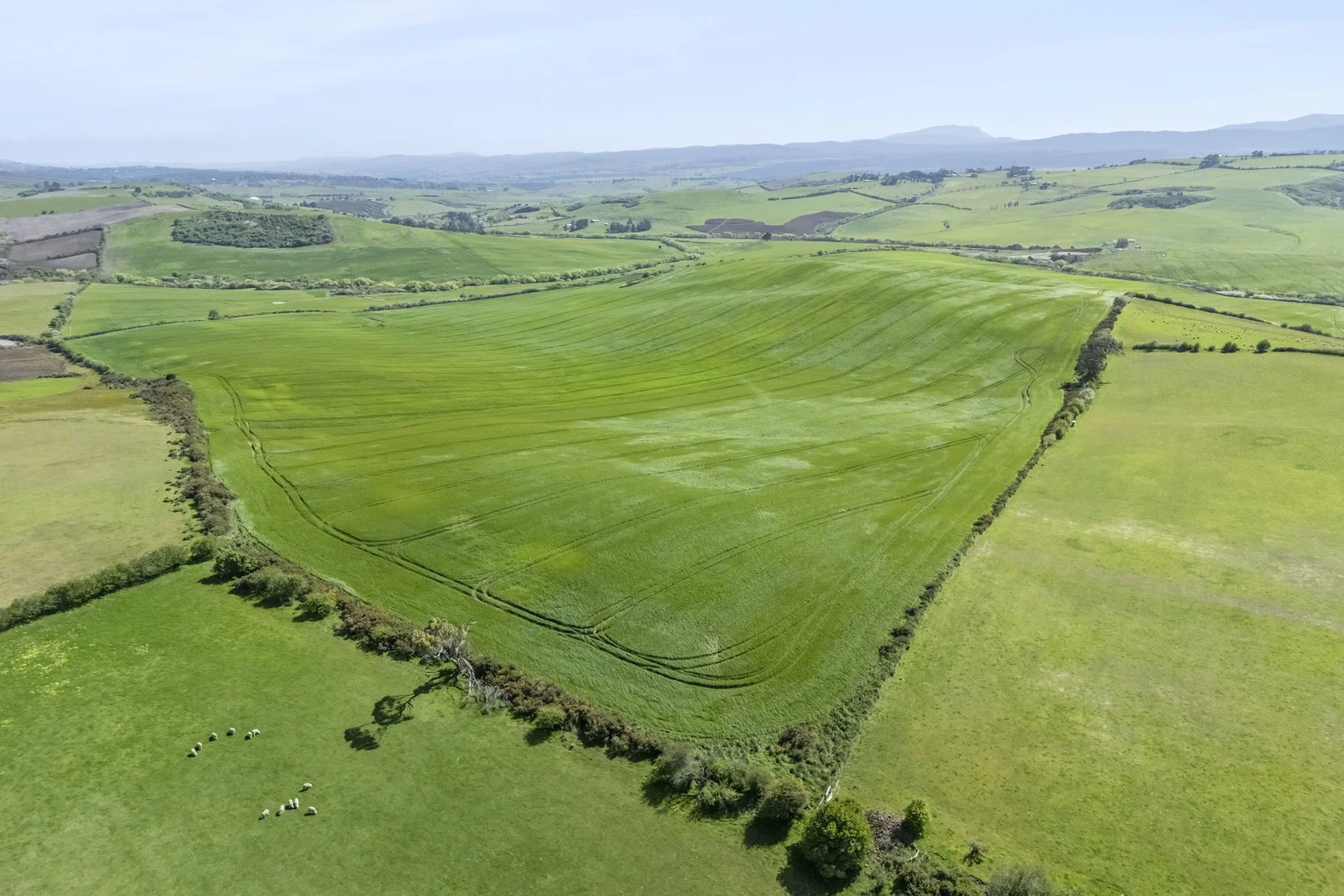 . White Hills Road, White Hills TAS 7258