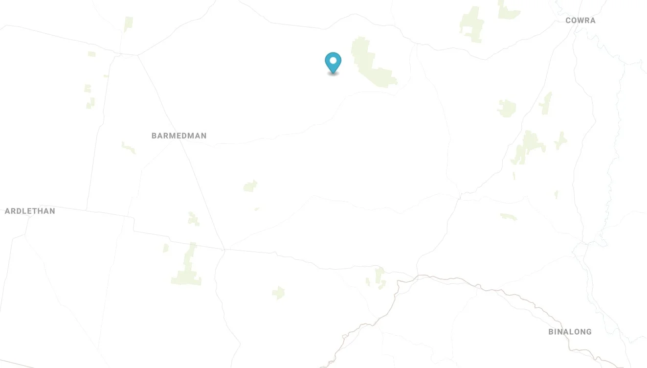 Additional image 19 of 1745 Bimbi Caragabal Road, Bimbi NSW 2810