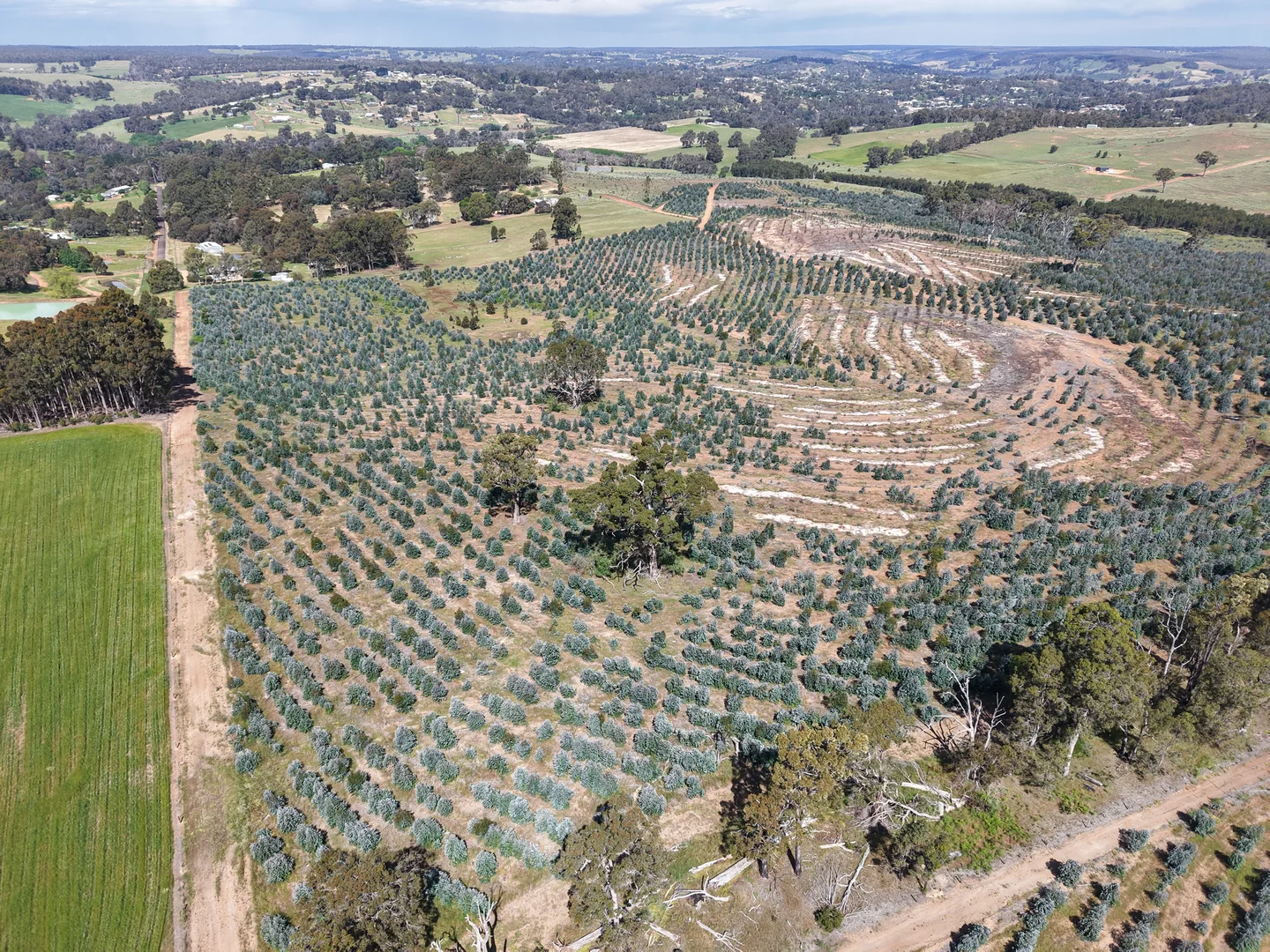 Additional image 2 of Lot 1251 Peninsula Road, Bridgetown WA 6255