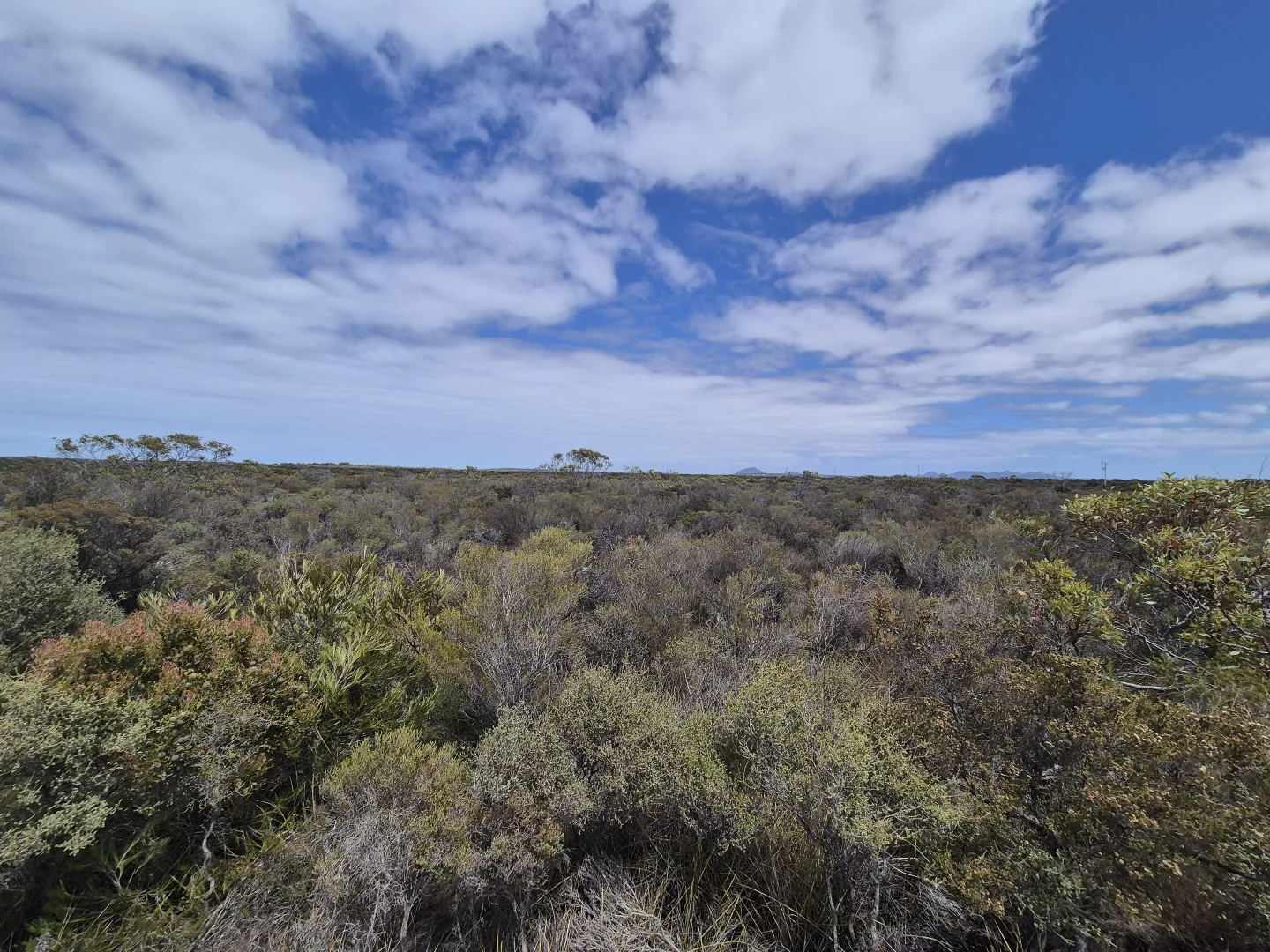 Additional image 9 of 344 Dotterel Drive, Hopetoun WA 6348